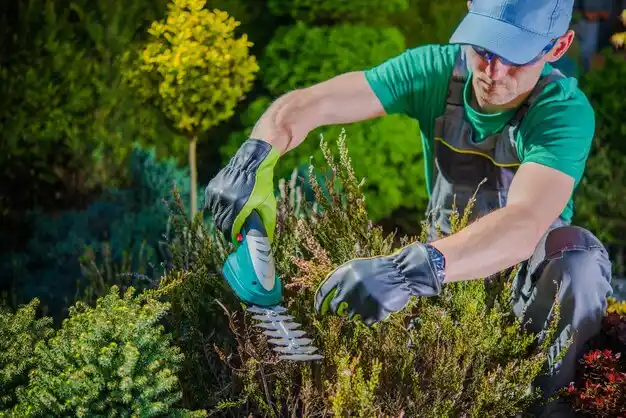landscaping services Guntown
